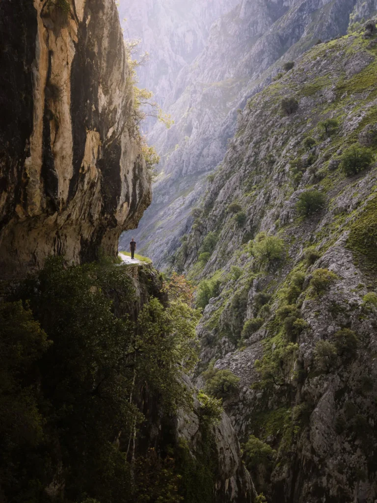 Picos de Europa